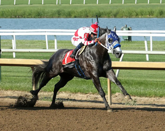 STREAKINDOWNTHEBEACH - Air Born Leader Overnight Stakes - 08-07-25 - R09 - Horseshoe Indiana - Finish 02 - Sammantha
