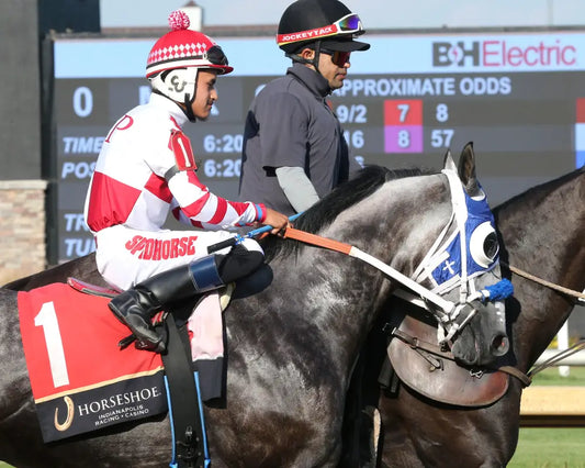 STREAKINDOWNTHEBEACH - Air Born Leader Overnight Stakes - 08-07-25 - R09 - Horseshoe Indiana - Post Parade 02