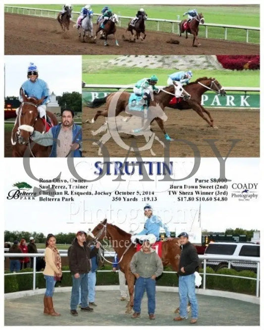 Struttin - 100514 Race 10 Btp Belterra Park