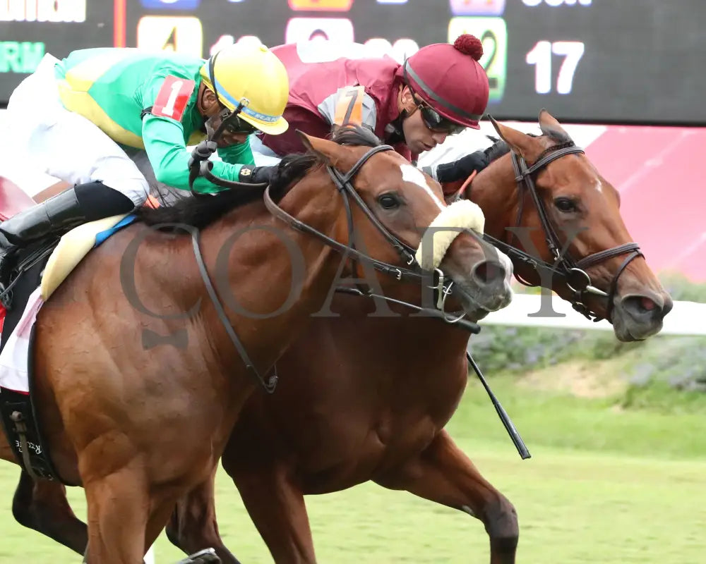 Style Points - Deep Satin 090724 Race 09 Cnl The Woodford Reserve Virginia Oaks Finish 02 Colonial