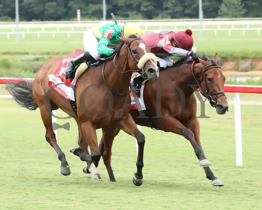 Style Points - Deep Satin 090724 Race 09 Cnl The Woodford Reserve Virginia Oaks Finish 03 Colonial