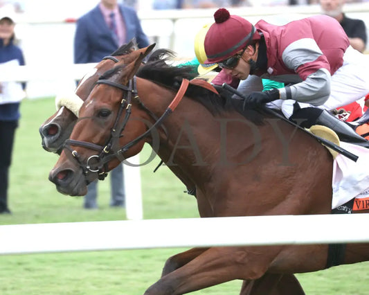 Style Points - Deep Satin 090724 Race 09 Cnl The Woodford Reserve Virginia Oaks Inside Finish