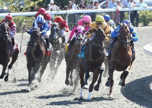 Successful Dan - The Daaher Keeneland