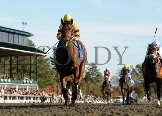 Successful Dan - The Greenbrier Fayette Keeneland