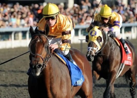 Successful Dan - The Greenbrier Fayette Keeneland