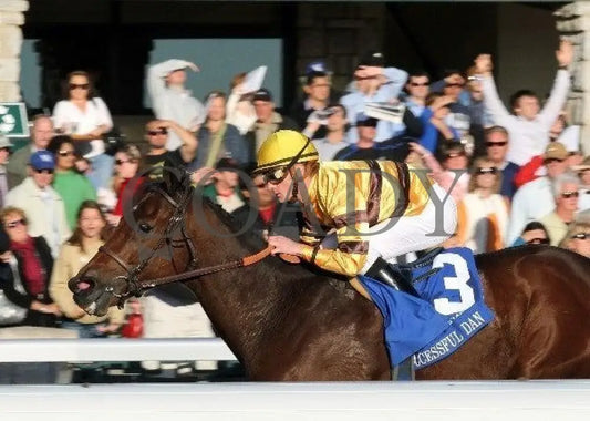 Successful Dan - The Greenbrier Fayette Keeneland