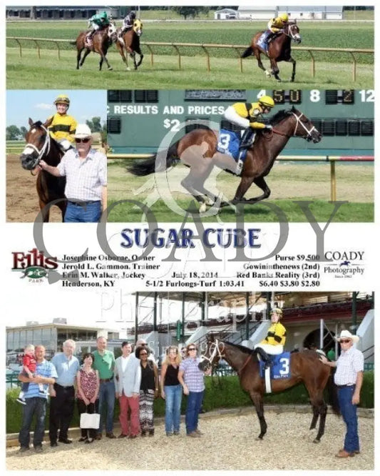 Sugar Cube - 071814 Race 08 Elp Ellis Park