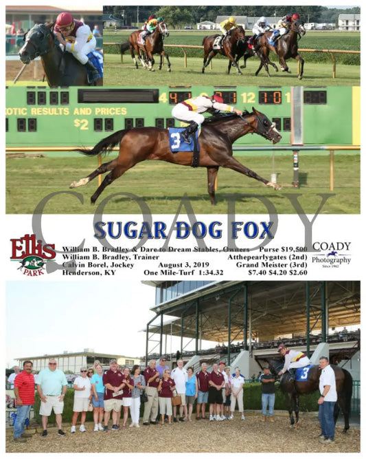 Sugar Dog Fox - 08-03-19 R10 Elp Ellis Park