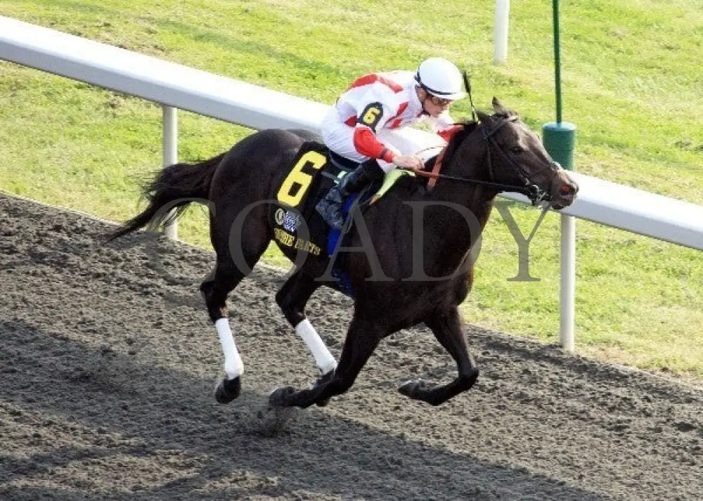 Sum Of The Parts - Aerial 100512 Race 08 Keeneland