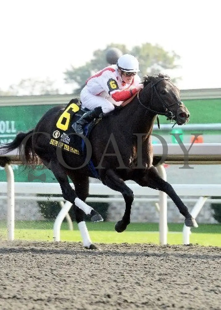 Sum Of The Parts - Finish 2 100512 Race 08 Keeneland