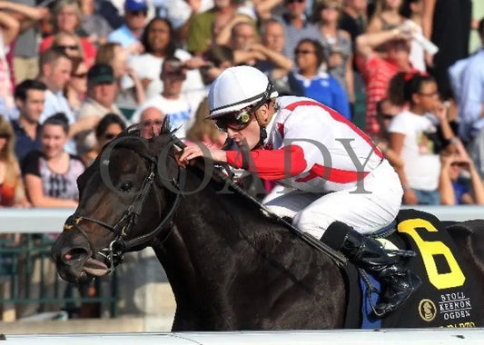 Sum Of The Parts - Inside Finish 100512 Race 0 Keeneland