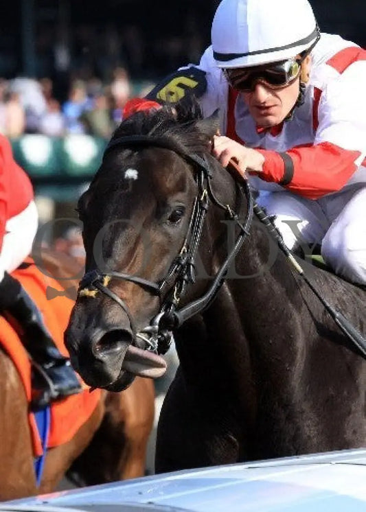 Sum Of The Parts - Tight Inside Finish 100512 Keeneland