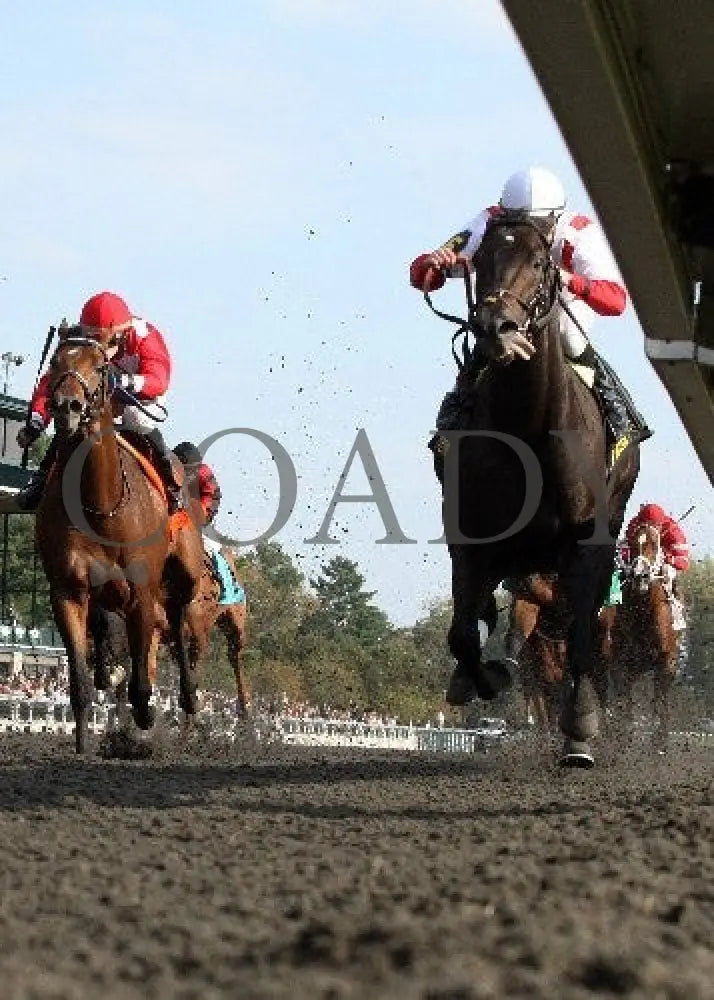 Sum Of The Parts - Under Rail 100512 Race 08 Keeneland