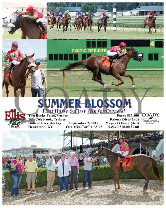 Summer Blossom - 090218 Race 05 Elp Ellis Park