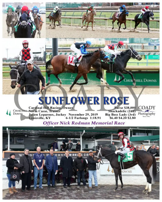 Sunflower Rose - 11-29-19 R03 Cd Churchill Downs