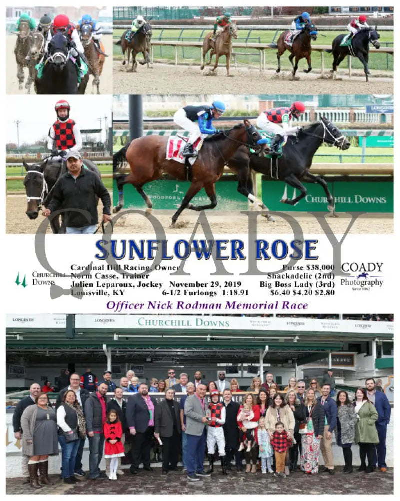 Sunflower Rose - 11-29-19 R03 Cd Group Churchill Downs