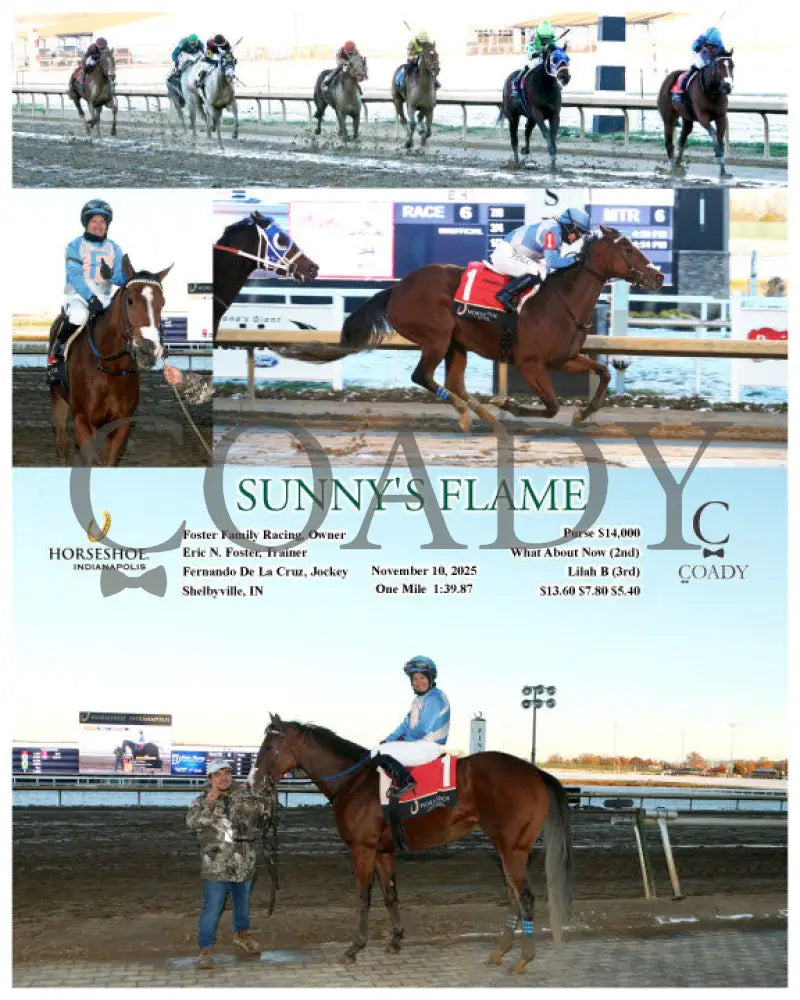 SUNNY’S FLAME - 11-10-25 - R06 - IND Indiana Grand