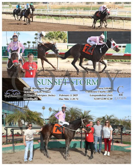 Sunset Storm - 02-03-25 R06 Tup Turf Paradise