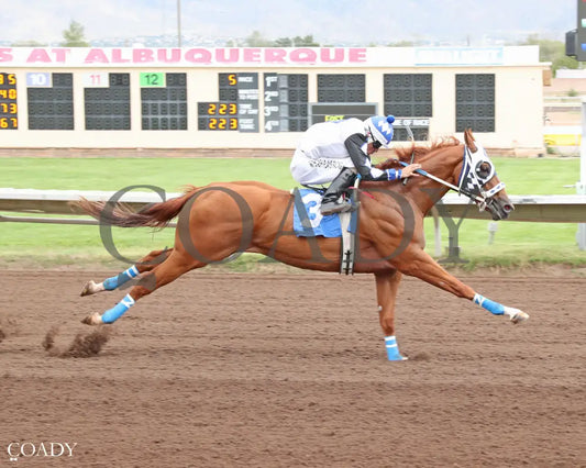 SURE HIT - The New Mexico State Fair Q.H. Futurity Trials - 09-19-25 - R05 - ALB - Coady Media - Kurtis Coady Photography