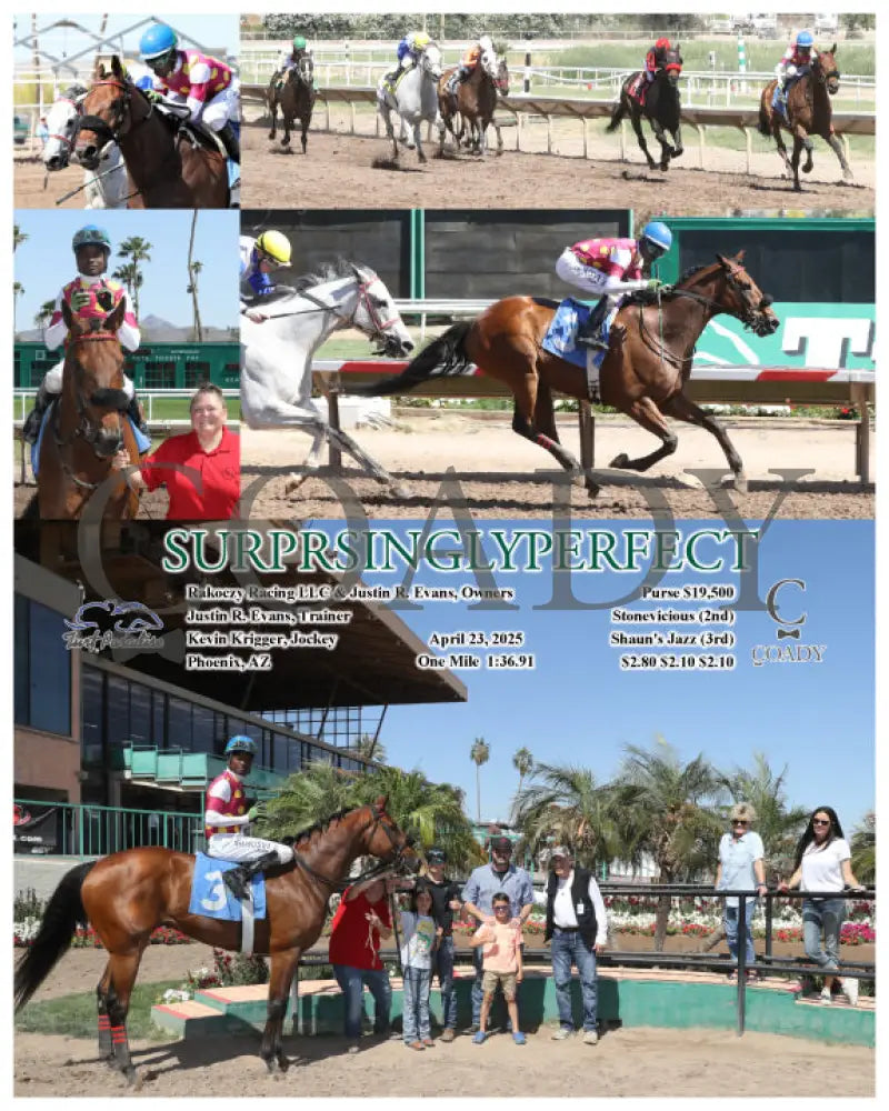 SURPRSINGLYPERFECT - 04-23-25 - R04 - TUP Turf Paradise