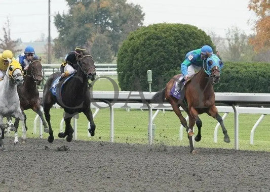 Suyeta - 2 101211 Race 07 Keeneland