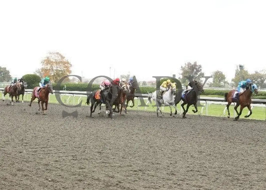 Suyeta - 4 101211 Race 07 Keeneland