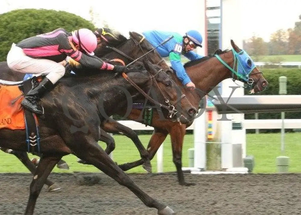 Suyeta - 5 101211 Race 07 Keeneland