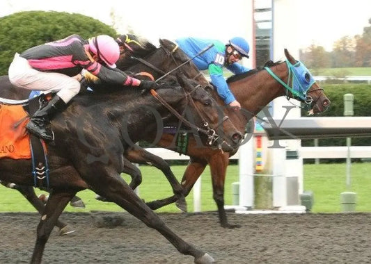 Suyeta - 5 101211 Race 07 Keeneland