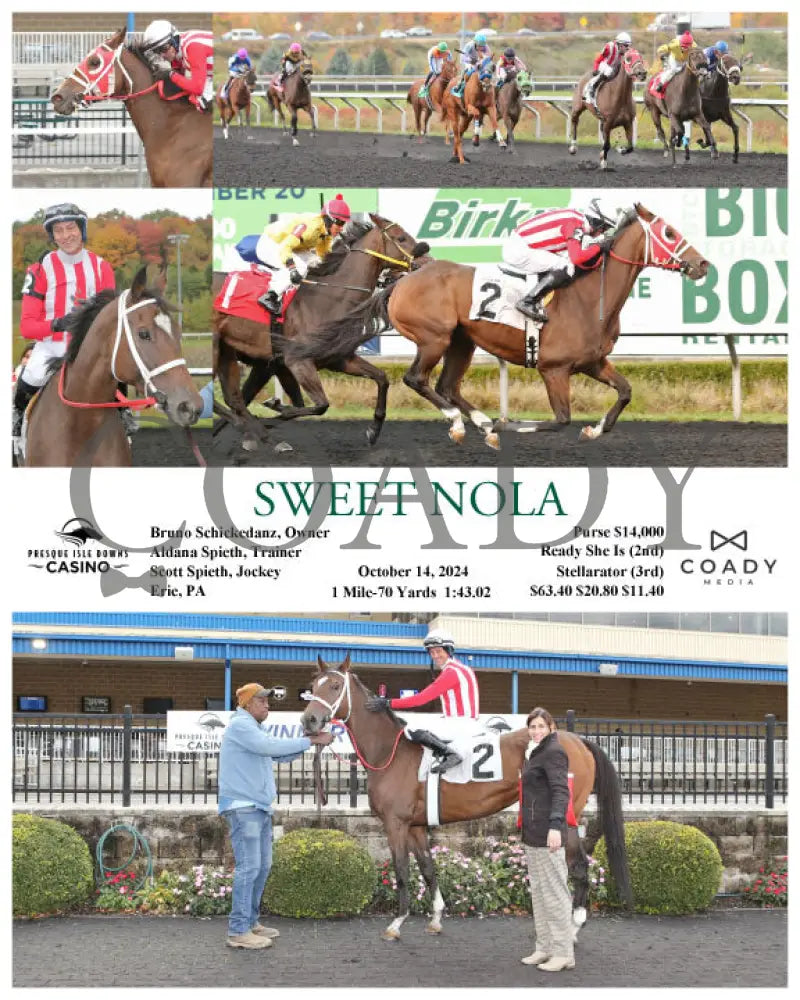 Sweet Nola - 10-14-24 R06 Pid Presque Isle Downs