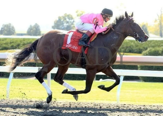 Sweet Seventeen - Proof 4 100711 Race 05 Keeneland