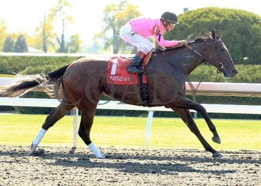 Sweet Seventeen - Proof 5 100711 Race 05 Keeneland