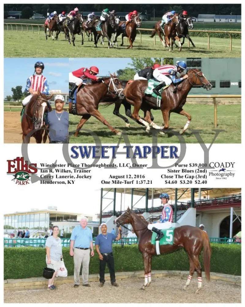 Sweet Tapper - 081216 Race 08 Elp Ellis Park