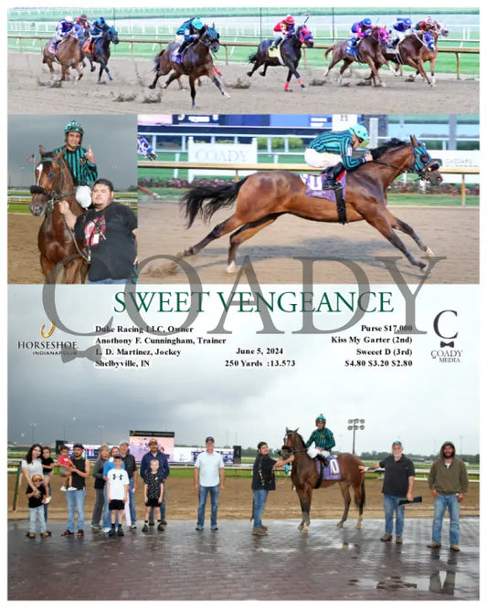 Sweet Vengeance - 06-05-24 R10 Ind Indiana Grand