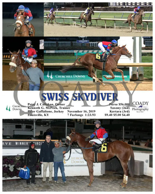 Swiss Skydiver - 11-16-19 R11 Cd Churchill Downs