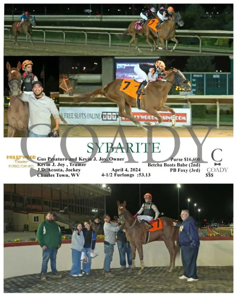 Sybarite - 04 - 04 - 24 R05 Ct Hollywood Casino At Charles Town Races