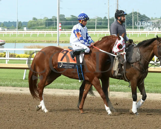 TACHAS SECRET - 07-02-25 - R09 - Horseshoe Indiana - Post Parade 02 - Eli Davis Indiana Grand
