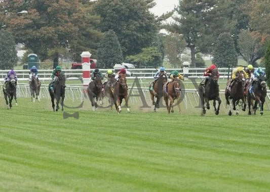 Tahoe Lake - 3 101211 Race 08 Keeneland