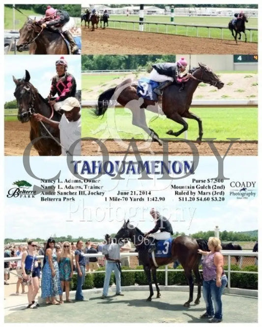 Tahquamenon - 062114 Race 02 Btp Belterra Park