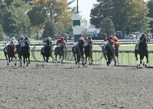 Taisteal Culle - 2 101511 Race 01 Keeneland