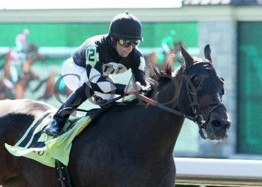 Taisteal Culle - 3 101511 Race 01 Keeneland