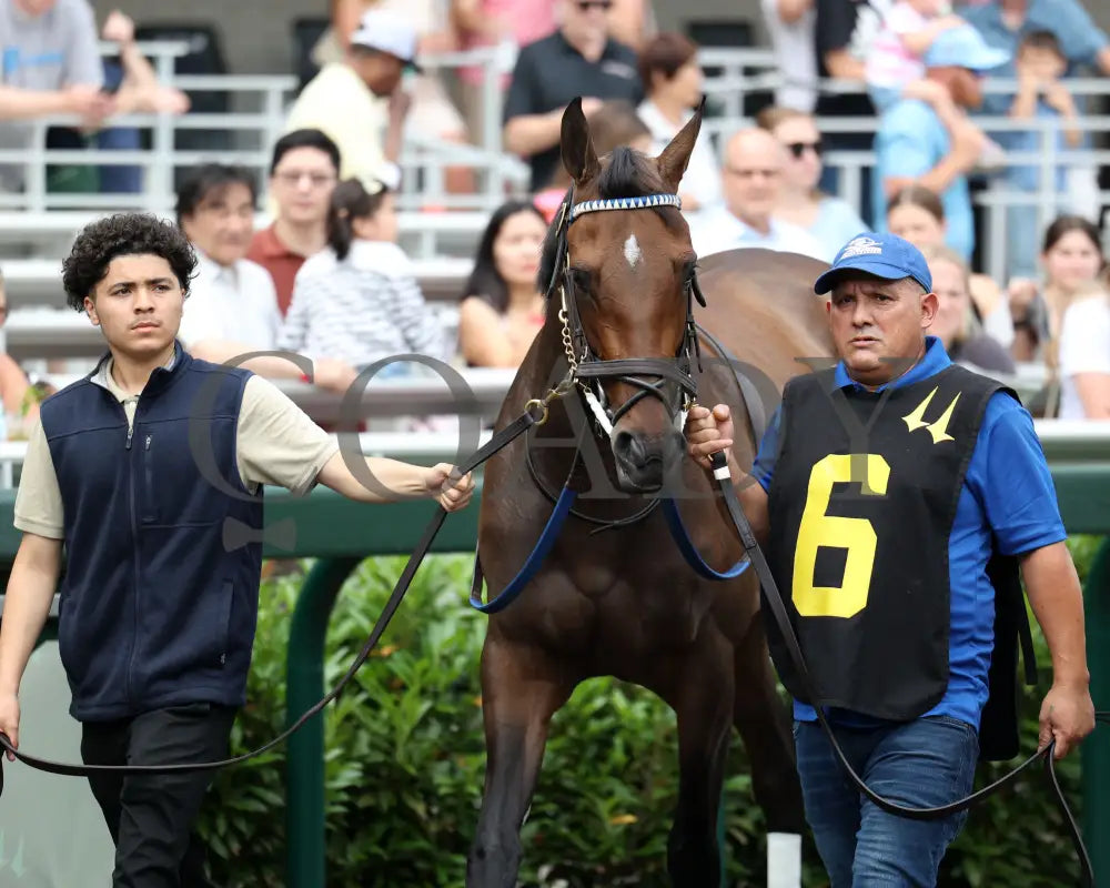 TAKE CHARGE MILADY - 061425 - Race 05 - CD - Paddock 03 Churchill Downs