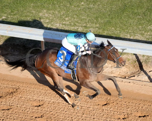 Take Charge Milady - The Martha Washington Stakes 01-25-25 R09 Op Aerial Finish 01 Oaklawn Park
