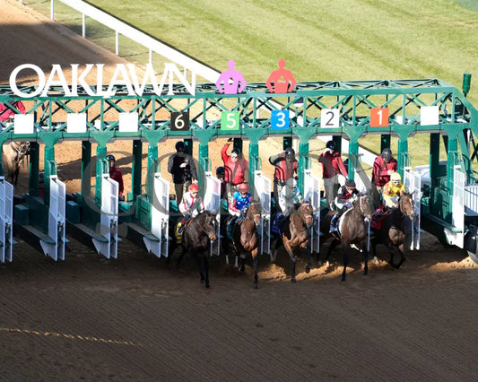 Take Charge Milady - The Martha Washington Stakes 01-25-25 R09 Op Aerial Start 01 Oaklawn Park