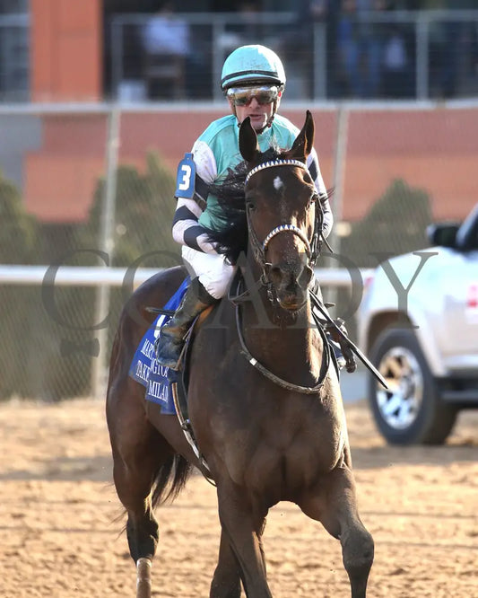 TAKE CHARGE MILADY - The Martha Washington Stakes - 01-25-25 - R09 - OP - Come Back 03 - Coady Media - Kurtis Coady Photography