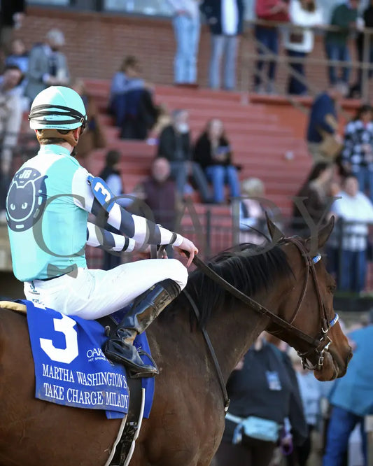 Take Charge Milady - The Martha Washington Stakes 01-25-25 R09 Op Come Back 04 Oaklawn Park
