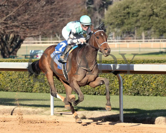 Take Charge Milady - The Martha Washington Stakes 01-25-25 R09 Op Finish 02 Oaklawn Park