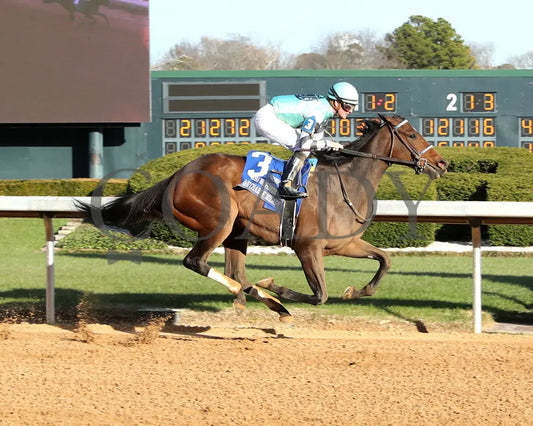 Take Charge Milady - The Martha Washington Stakes 01-25-25 R09 Op Finish 01 Oaklawn Park