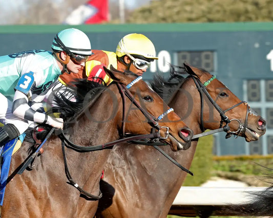 Take Charge Milady - The Martha Washington Stakes 01-25-25 R09 Op First Pass 01 Oaklawn Park