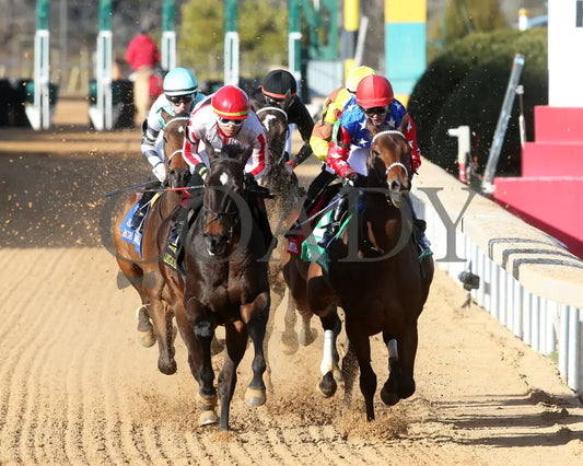 Take Charge Milady - The Martha Washington Stakes 01-25-25 R09 Op First Turn 02 Oaklawn Park