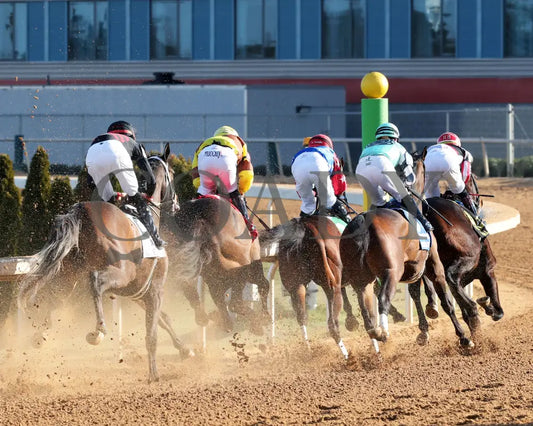 Take Charge Milady - The Martha Washington Stakes 01-25-25 R09 Op First Turn 01 Oaklawn Park